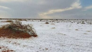 The desert of Saudi Arabia is covered with snow