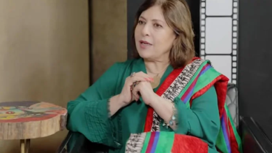 actress aini zaidi
