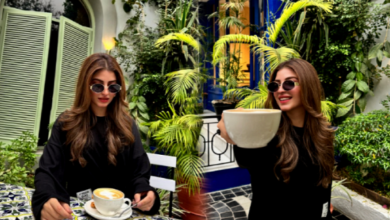 actress kinza hashmi