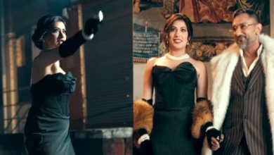 actress mehvish hayat,yoyo honey singh