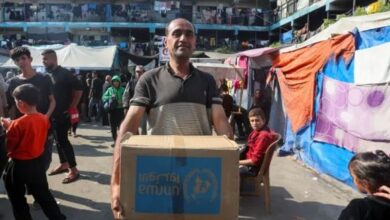 aid workers died workers