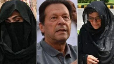 aleema khan,imran khan,bushra bibi