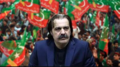 ali ameen gandapur