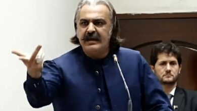 ali ameen gandapur