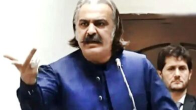 ali ameen gandapure