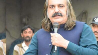 ali amin gandapur