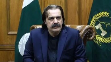 ali amin gandapur