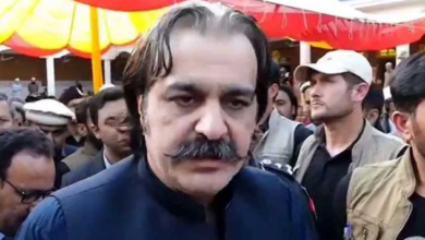 ali amin gandapur