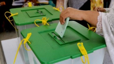 bellot box