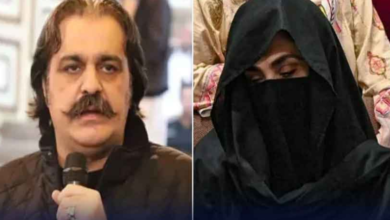 bushra bibi,ali amin gandapur