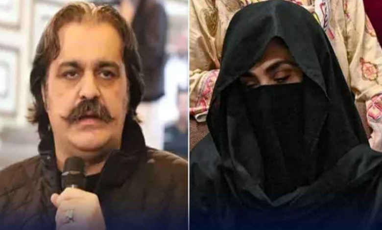 bushra bibi,ali amin gandapur