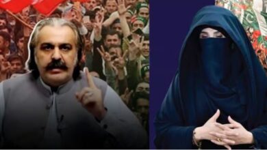 bushra bibi,ali amin gandapur