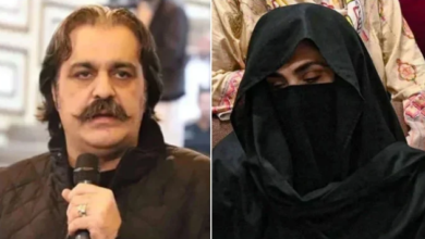 bushra bibi,ali amin gandapur