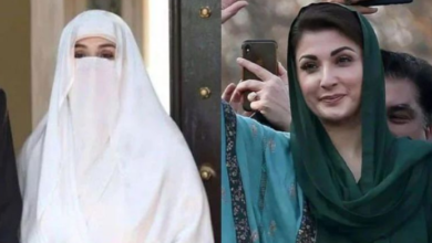 bushra bibi,cm maryam nawaz