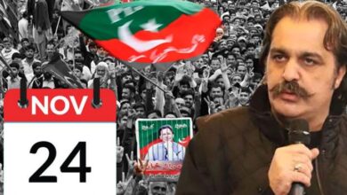 c, kpk,ali amin gandapur