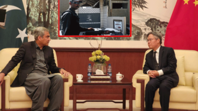 chinese ammasaddar with mohsin naqvi