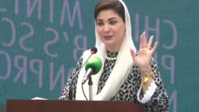 cm maryam nawaz