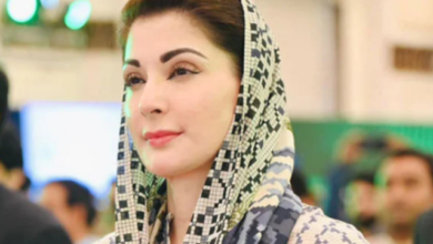 cm maryam nawaz
