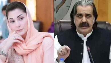cm maryam nawaz,cm ali amin gandapur