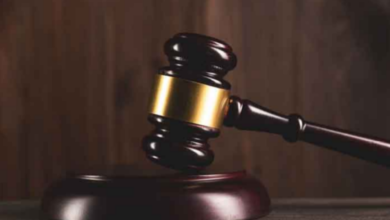 constitutional cases