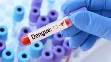 dengue