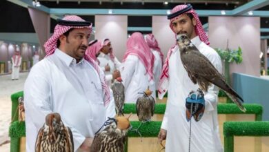 falcon auctions