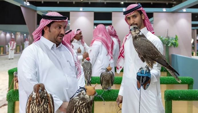 falcon auctions
