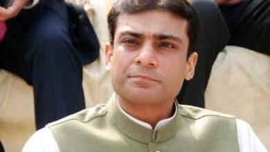 hamza shebaz
