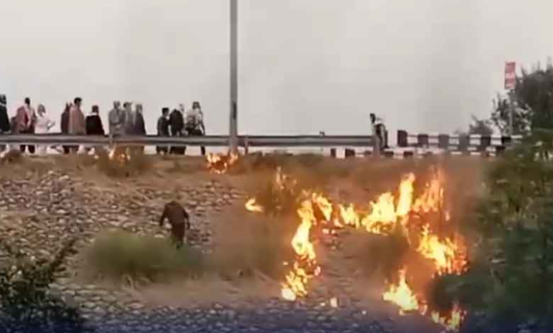 harripur shelling