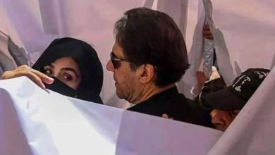 imran khan,bushra bibi