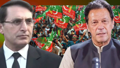 imran khan,gohar khan