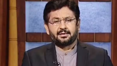 journalist saleem safi