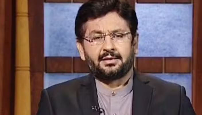 journalist saleem safi