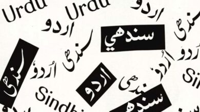 languages of pakistan in urdu