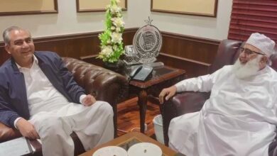 maulana fazal ur rehman,mohsin naqvi