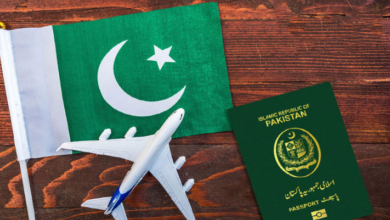 pakistan govt in action