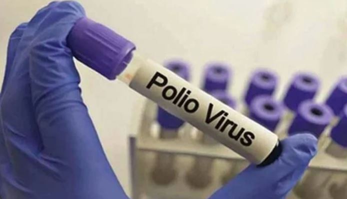 polio virus
