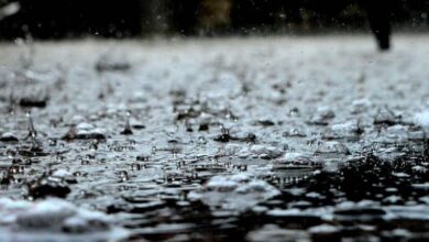 rain in lahore