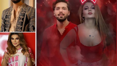 rakhi sawant, fahad mustafa