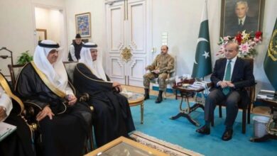 saudi deligation meetin with shahbaz sharif