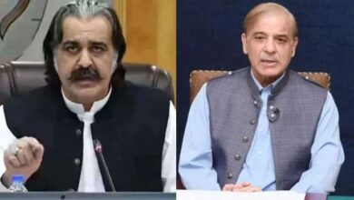 shahbaz sharif and ali ameen gandapur