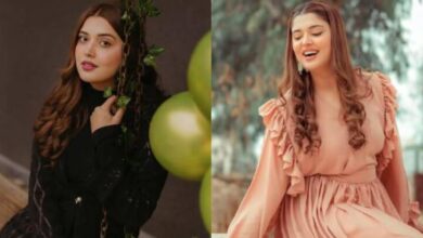 tiktok kanwal aftab viral video