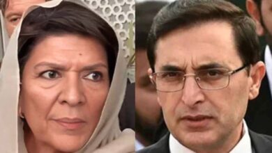 aleema khan and barrister gohar