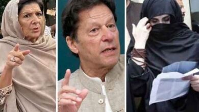 aleema khan and bushra bibi