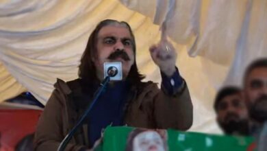 ali ameen gandapur