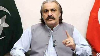 ali amin gandapur