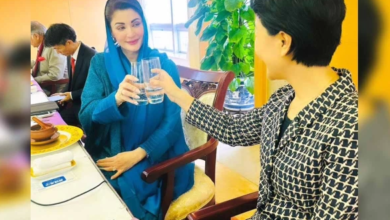 cm maryam nawaz foods in china