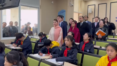 cm maryam nawaz in china