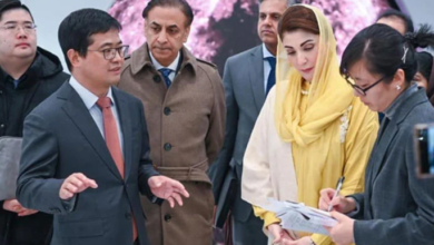 cm maryam nawaz in china