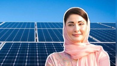 cm maryam nawaz in china solar company